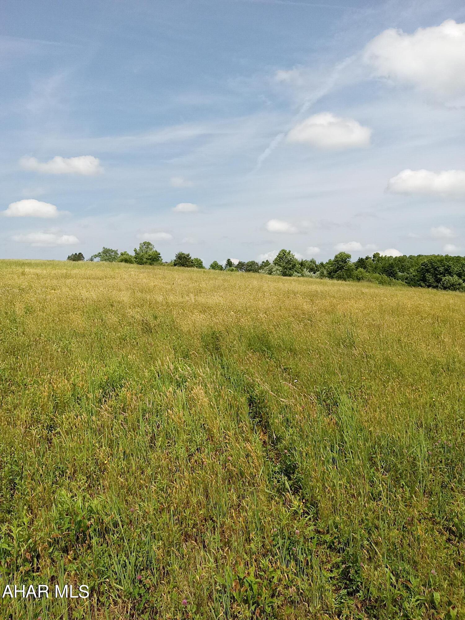 1803 Munster Road Portage, PA 15946 - Photo 28 of 37