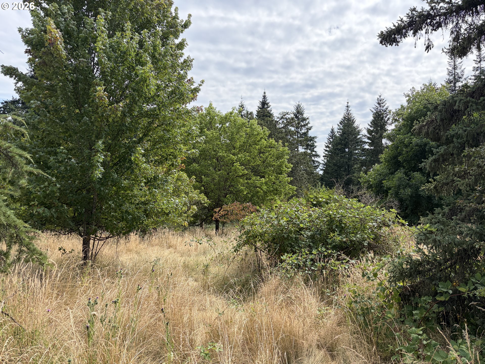 9006 Scotts Valley Road Yoncalla, OR 97499 - Photo 29 of 42 Gallery Image 29