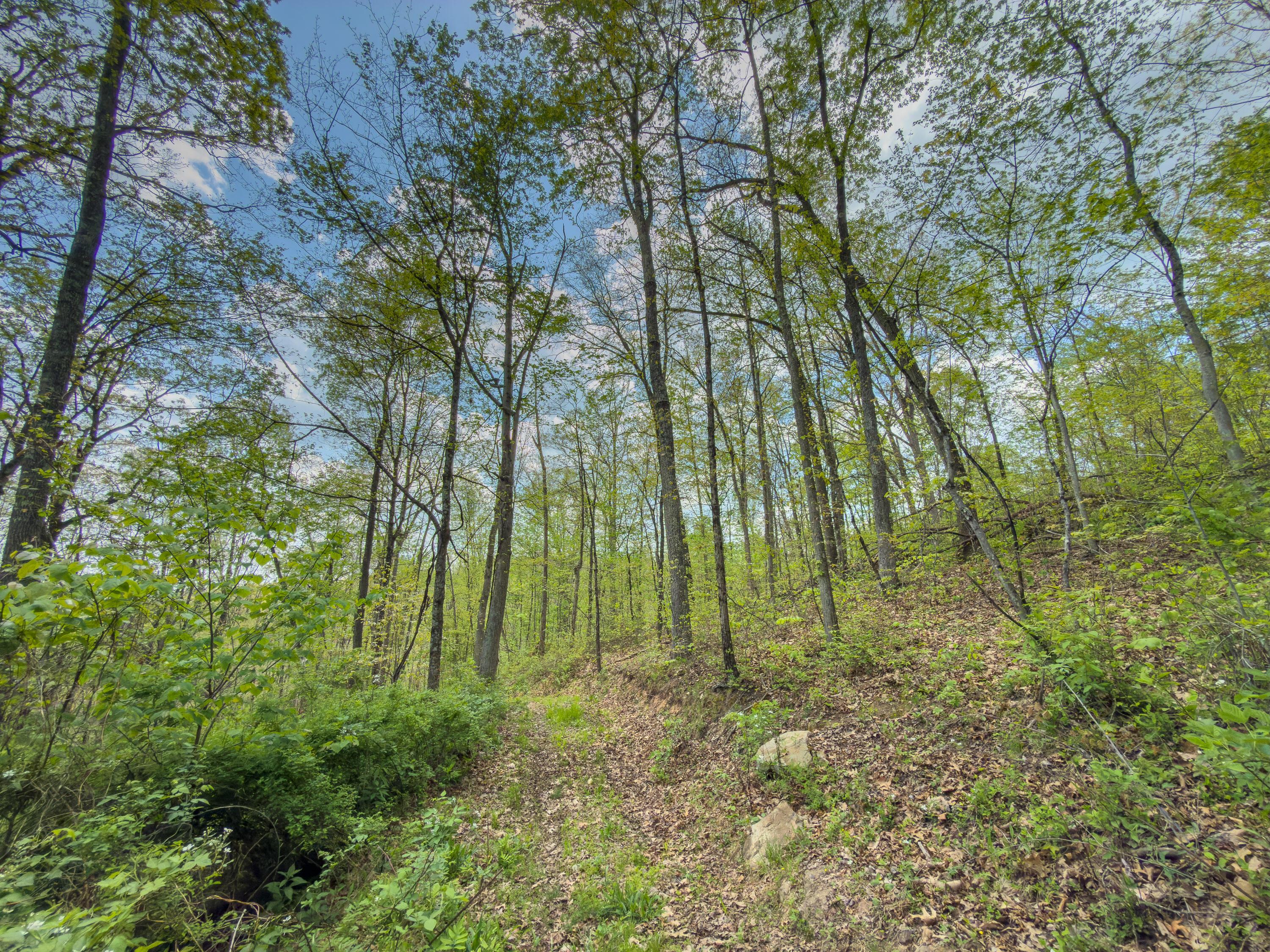 0 Beardmore Road Wingett Run, OH 45789 - Photo 22 of 43 beardmore rd-22