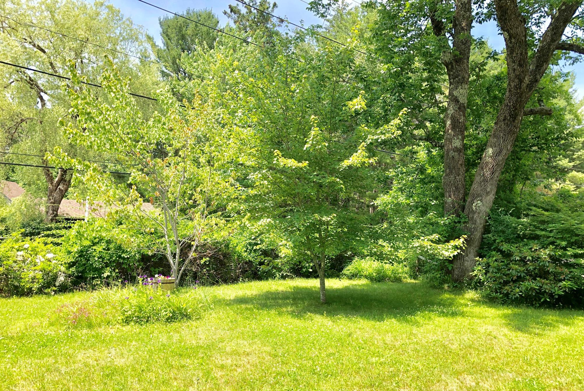 668 Bayside Road Ellsworth, ME 04605 - Photo 39 of 47 Woods & lawn