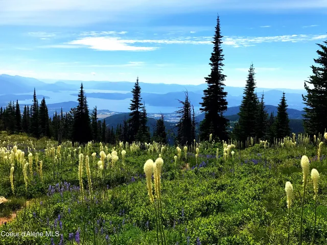 $6,500,000 | 5 Crystal Springs Road, Sandpoint, ID 83864