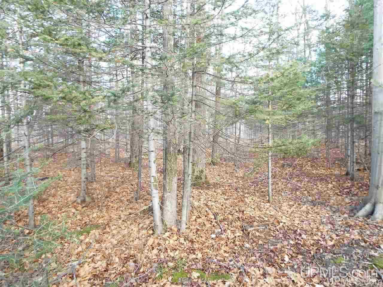 Tbd Us2 Gulliver, MI 49840 - Photo 2 of 7
