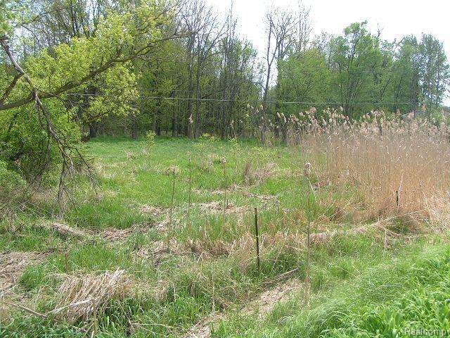 64980 Romeo Plank Road Ray, MI 48096 - Photo 7 of 14 Romeo Plank #7 property