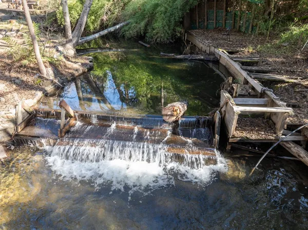 $450,000 | 51338 Hillside Drive, Oakhurst, CA 93644