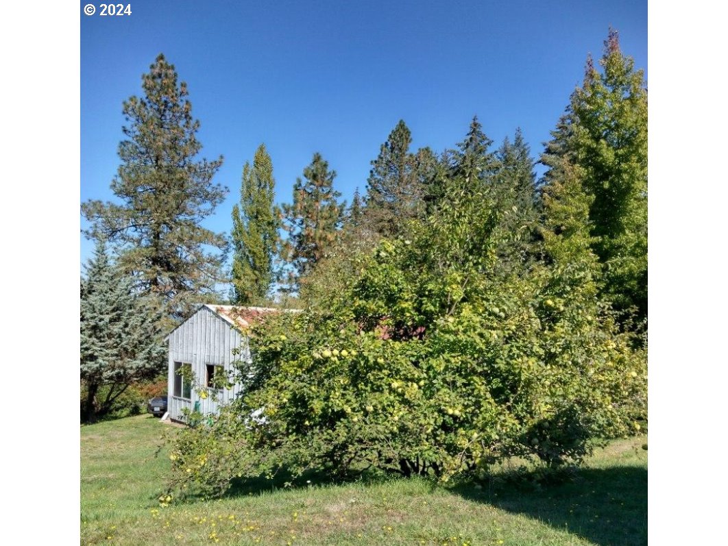 87040 Cedar Flat Road Springfield, OR 97478 - Photo 10 of 28