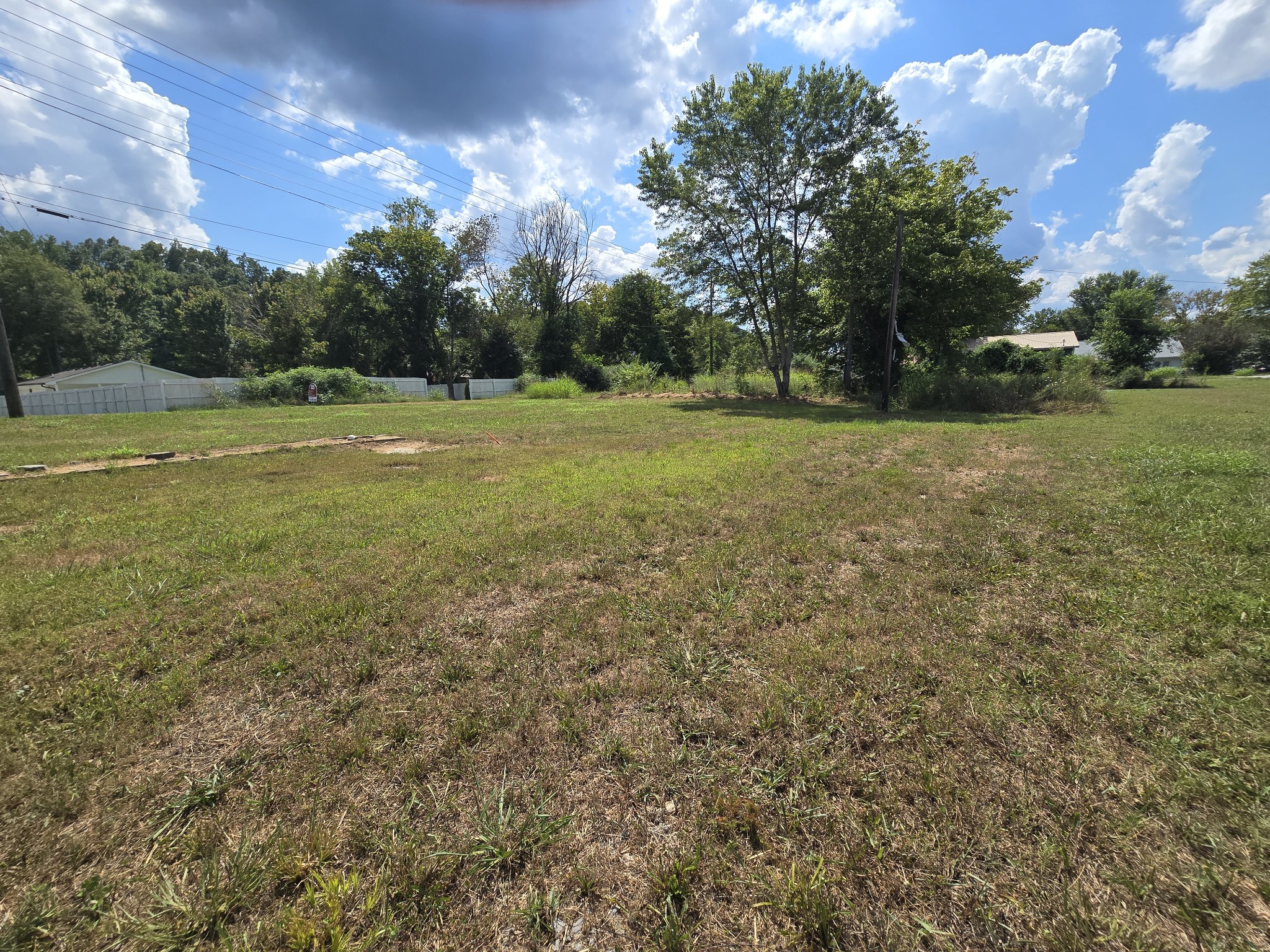 205 Armstrong Street Waverly, TN 37185 - Photo 4 of 4 a view of a field with trees