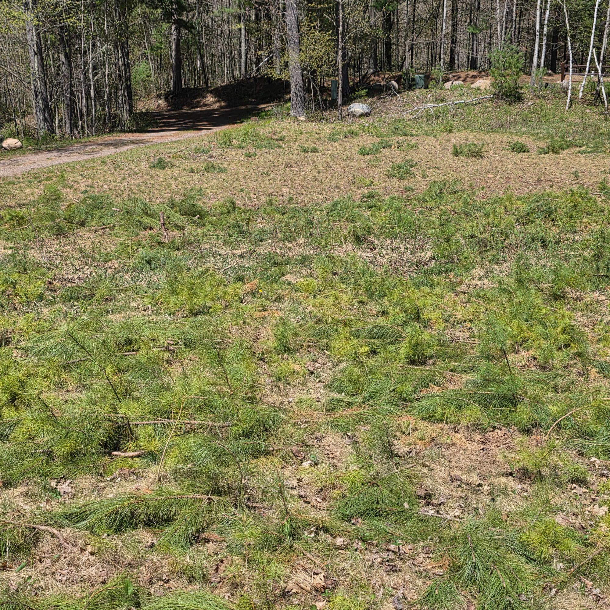 8659 N Bluegill Lake Road Winter, WI 54896 - Photo 17 of 25 Gallery Image 17