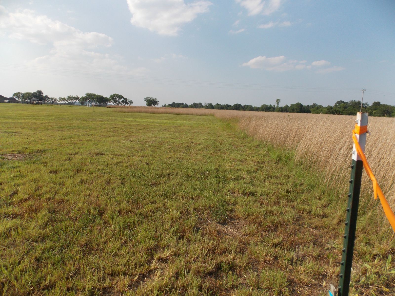 0 Kingdom Road Bell Buckle, TN 37020 - Photo 12 of 16
