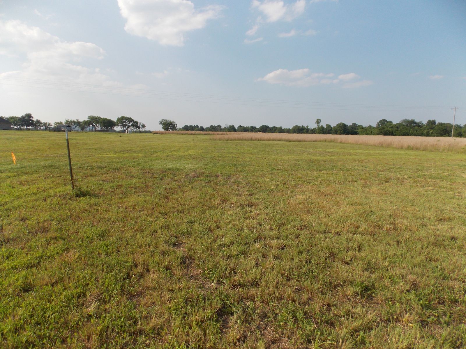 0 Kingdom Road Bell Buckle, TN 37020 - Photo 13 of 16