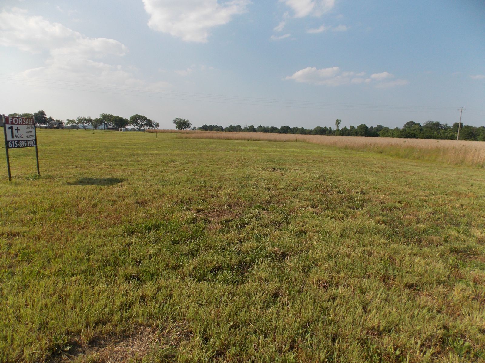 0 Kingdom Road Bell Buckle, TN 37020 - Photo 14 of 16 a view of an ocean