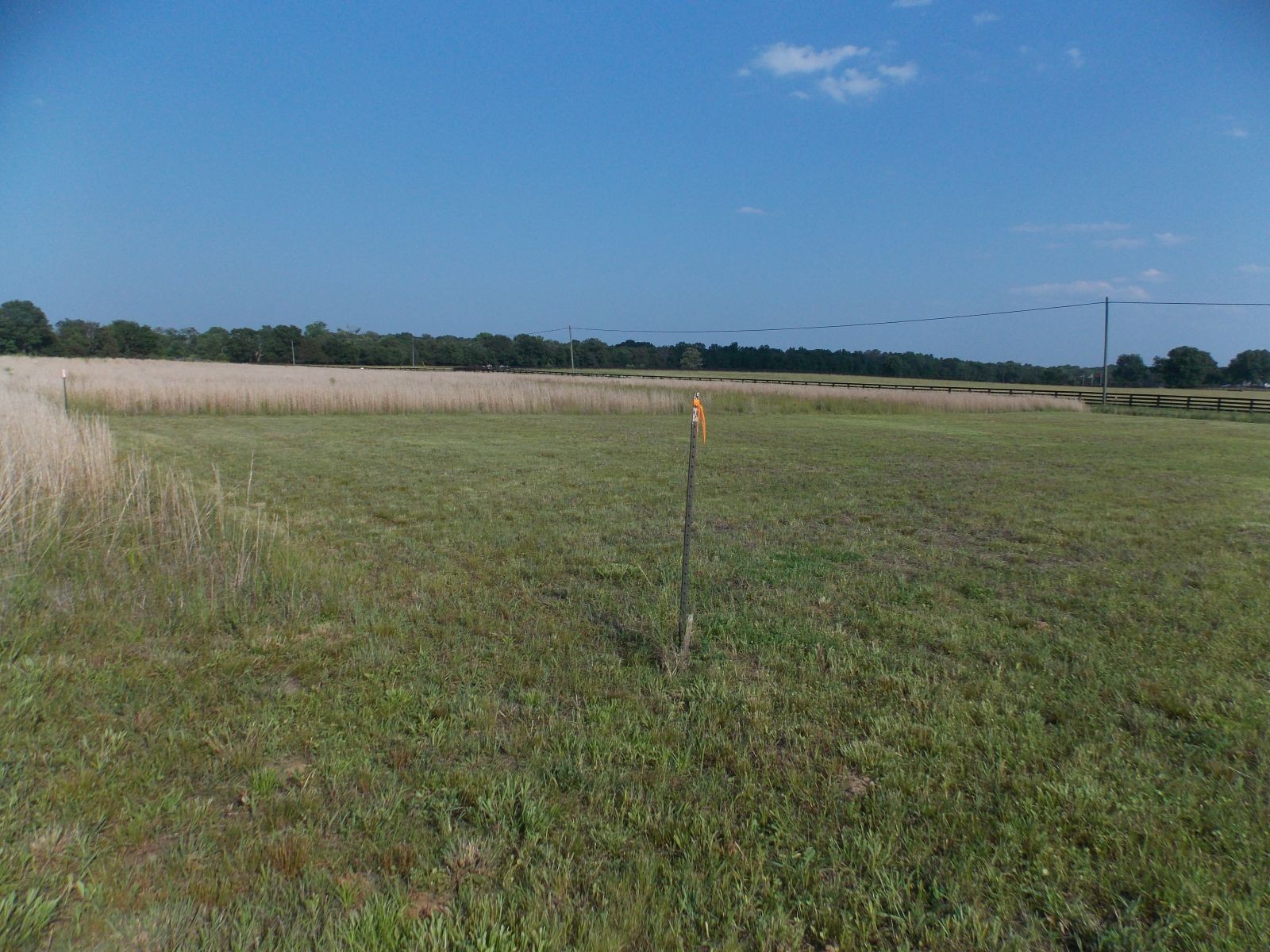 0 Kingdom Road Bell Buckle, TN 37020 - Photo 2 of 16 a view of a lake view