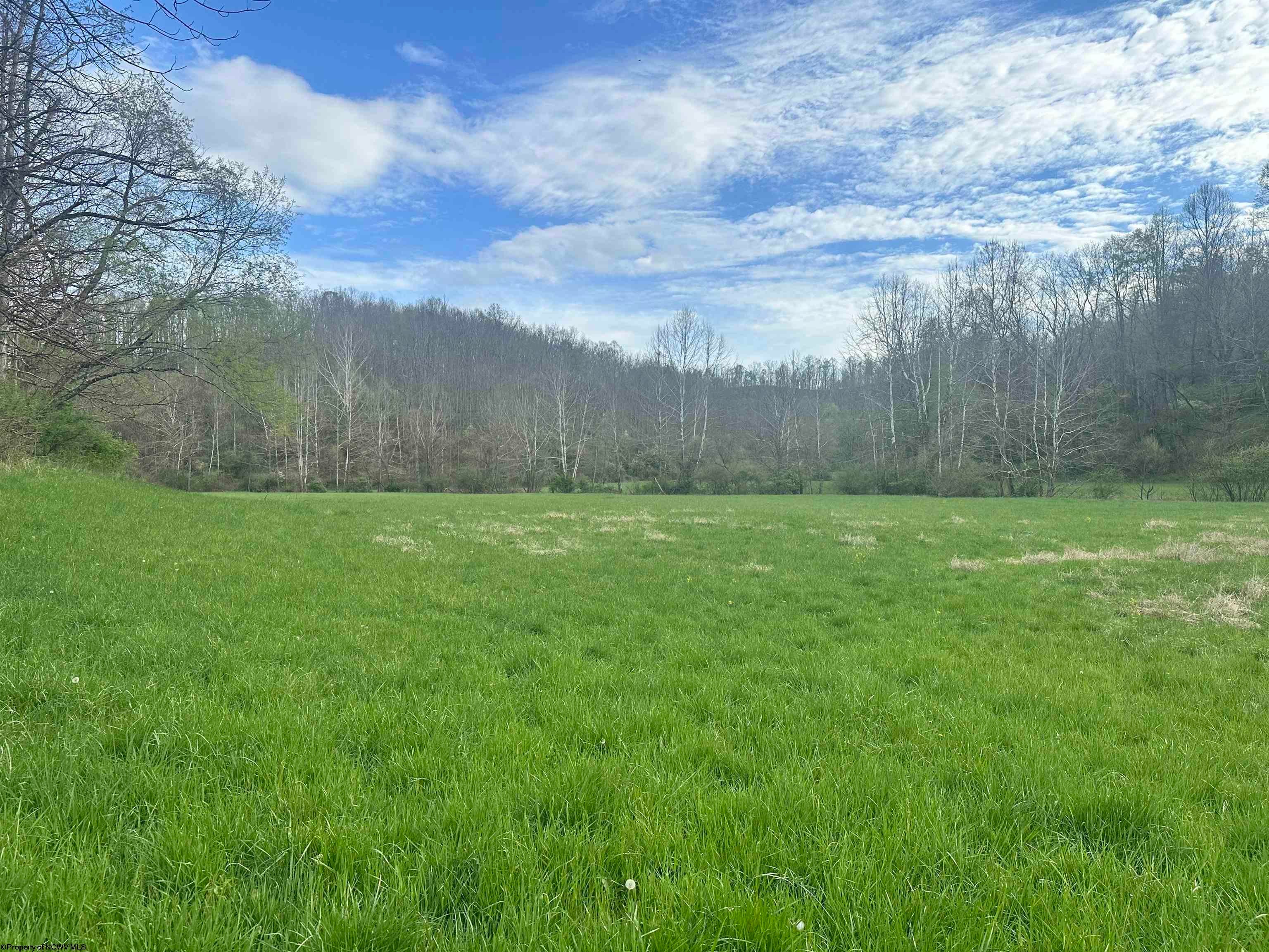 5601 Clover Fork Road Orlando, WV 26412 - Photo 5 of 44 Gallery Image 5