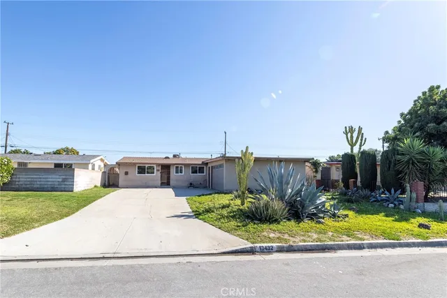 a view of a backyard with plants and palm trees
