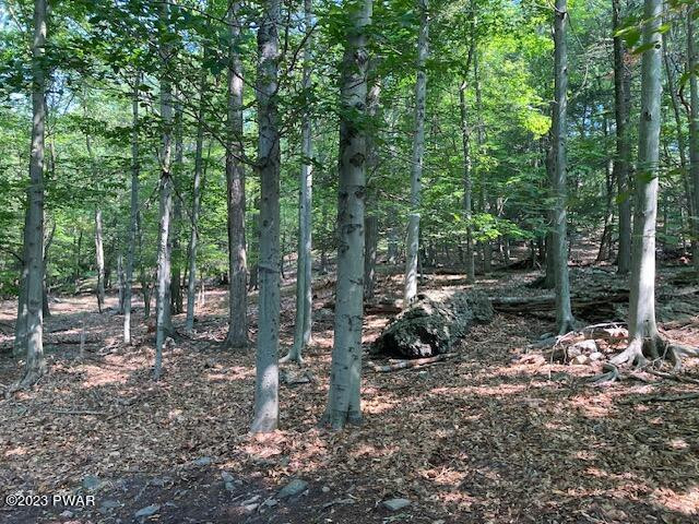 1148 Mustang Road Lake Ariel, PA 18436 - Photo 34 of 34