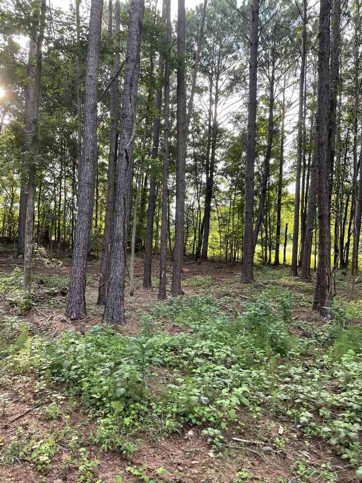 1262 Alcovy Station Road Covington, GA 30014 - Photo 1 of 1 Gallery Image 1