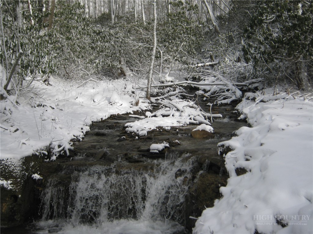 344-348 Tumbling Brook Road Banner Elk, NC 28604 - Photo 35 of 35 a view of lot of trees with covered with snow