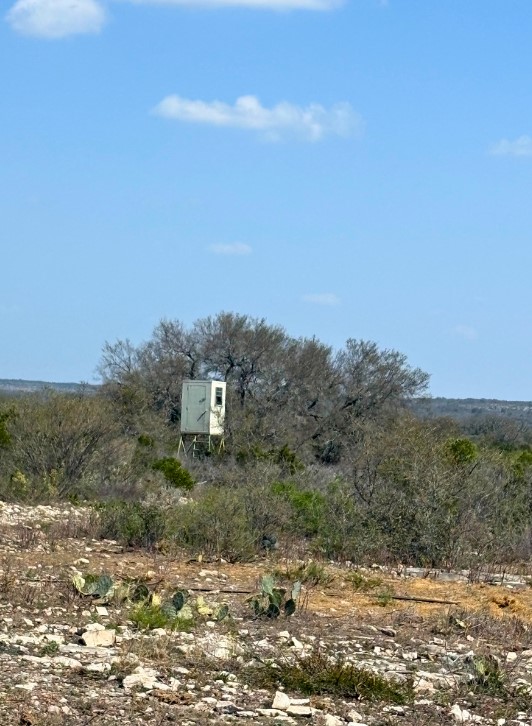 191 Leona Ranch Road Brackettville, TX 78832 - Photo 6 of 30 a view of a dry yard with trees