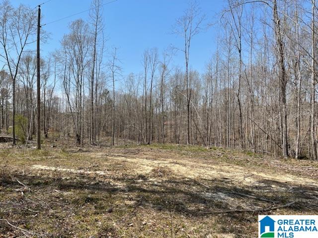 30 County Road, Unit 4 Roanoke, AL 36274 - Photo 4 of 4