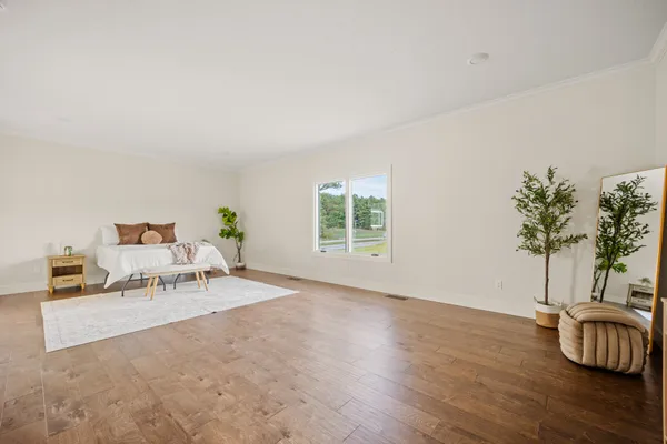 a living room with furniture and a potted plant