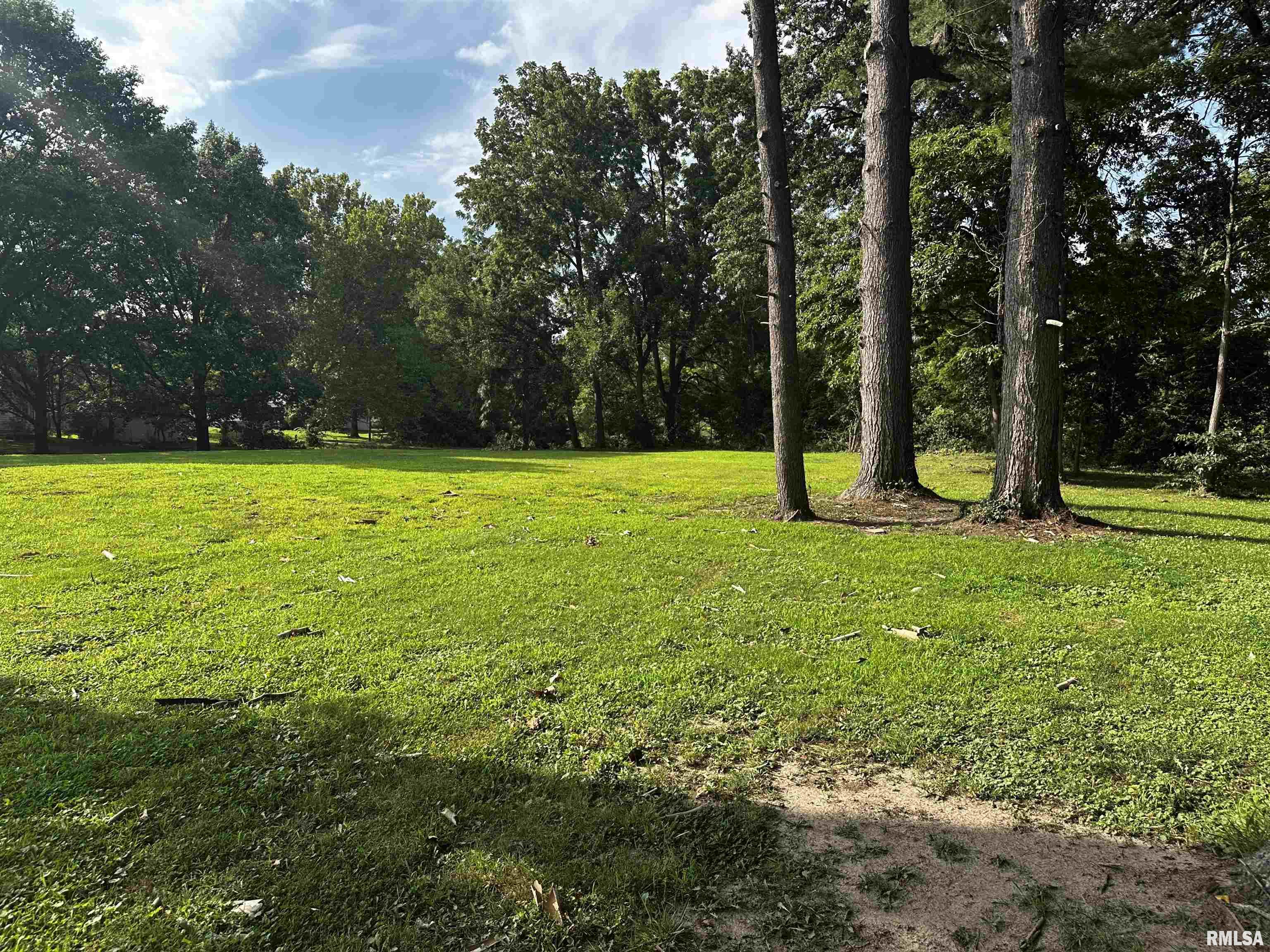 200 Maple Street Athens, IL 62613 - Photo 15 of 17 Gallery Image 15