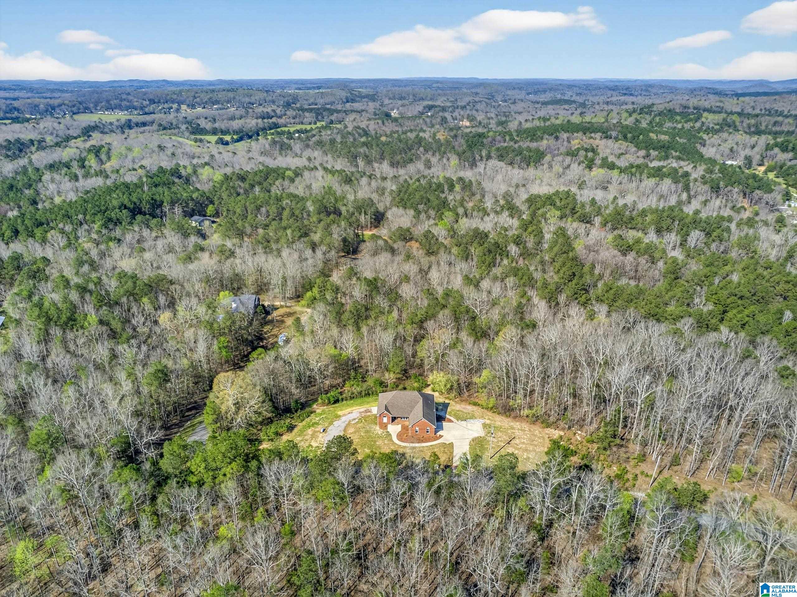 272 Trinity Way Jacksonville, AL 36265 - Photo 43 of 45