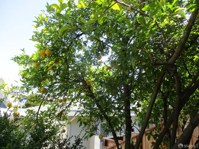 $1,195,000 | 321 Santa Clara Avenue, Oakland, CA 94610