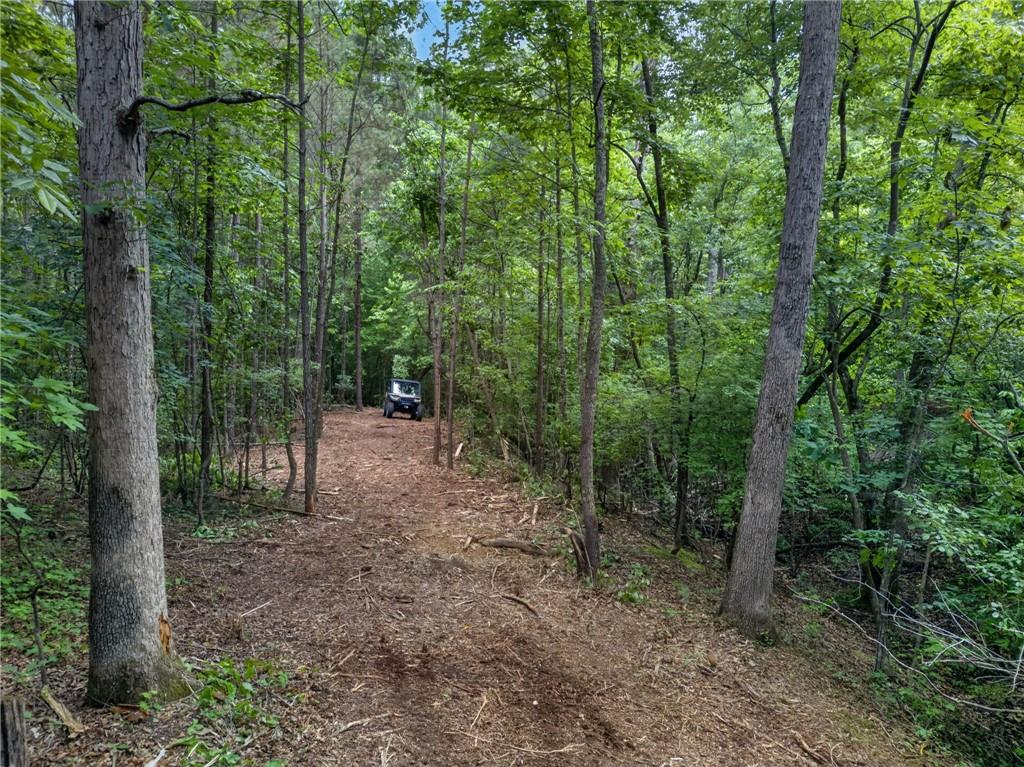 3512 Vinson Mountain Road Rockmart, GA 30153 - Photo 47 of 57 a view of a forest that has large trees