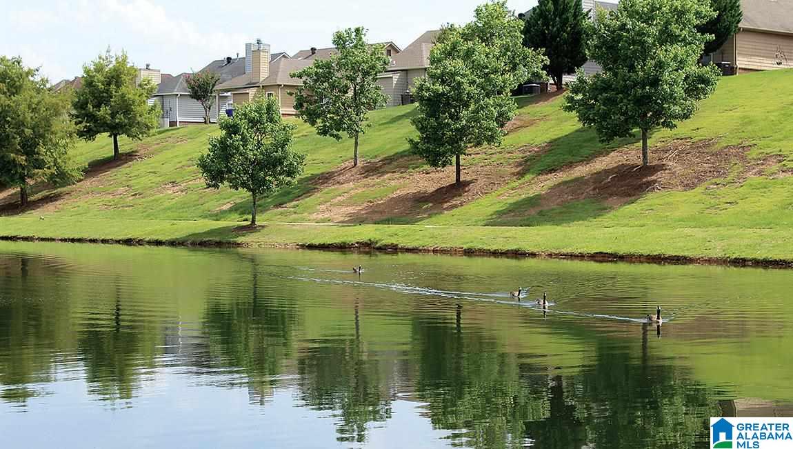 236 Chelsea Park Road Chelsea, AL 35043 - Photo 20 of 22