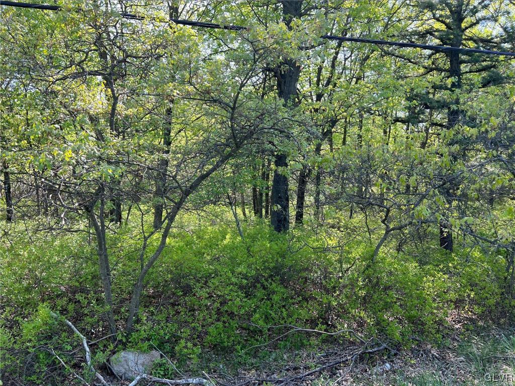 169 Sawmill Road, Unit 7020 Long Pond, PA 18334 - Photo 1 of 7 Gallery Image 1