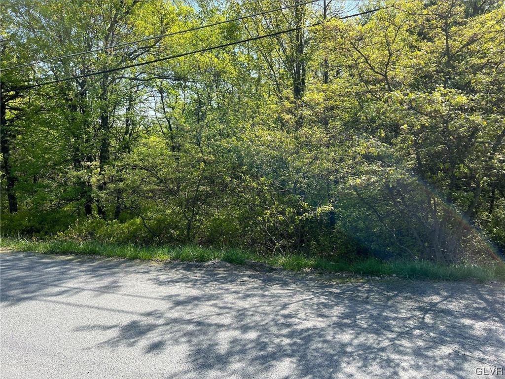 169 Sawmill Road, Unit 7020 Long Pond, PA 18334 - Photo 7 of 7 Gallery Image 7