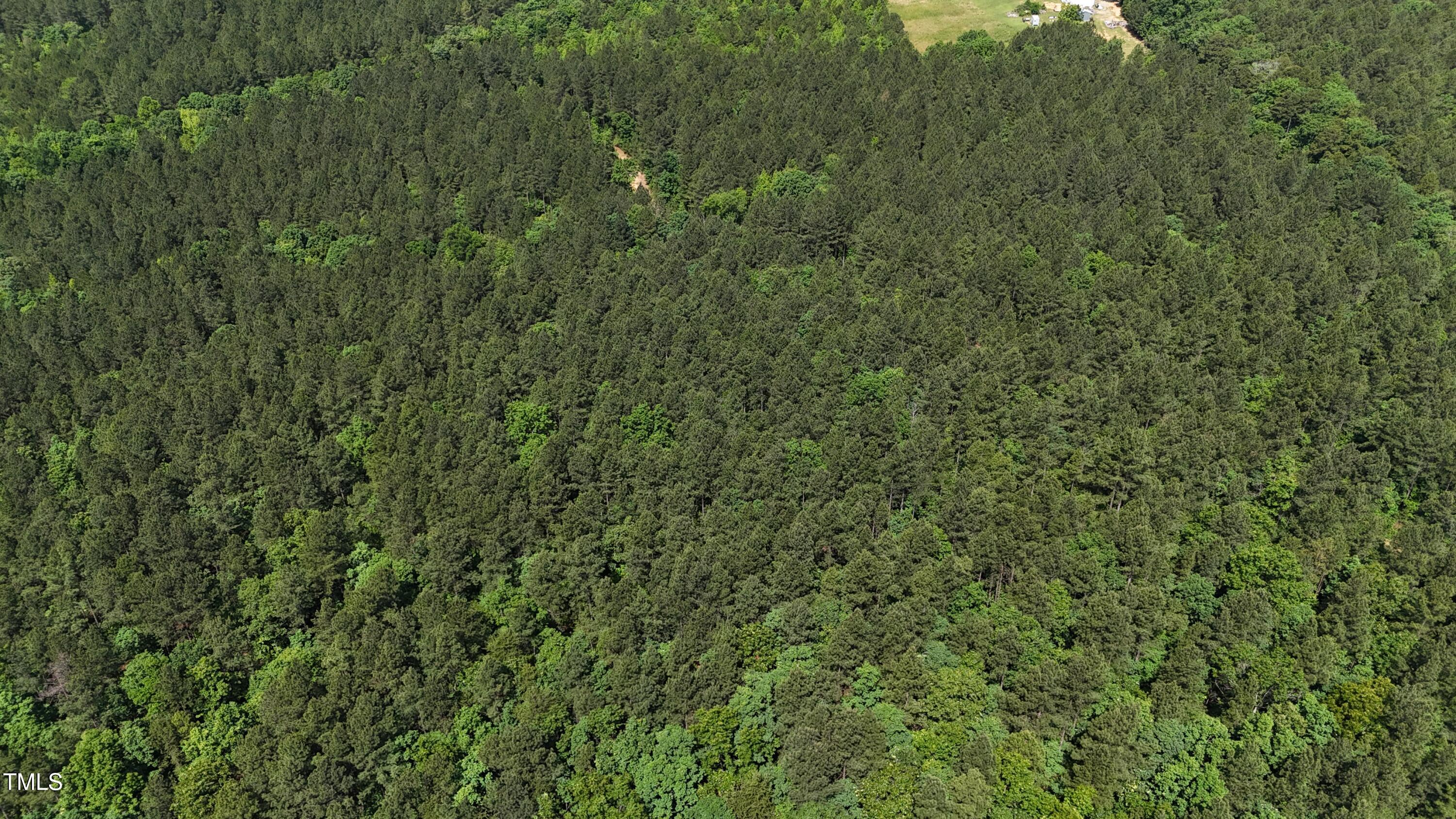 682 Wolf Pit Road Oxford, NC 27565 - Photo 12 of 21 a10