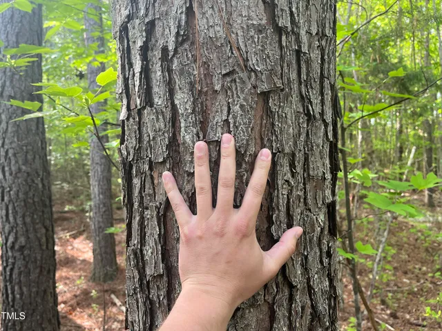 $149,500 | 682 Wolf Pit Road, Oxford, NC 27565