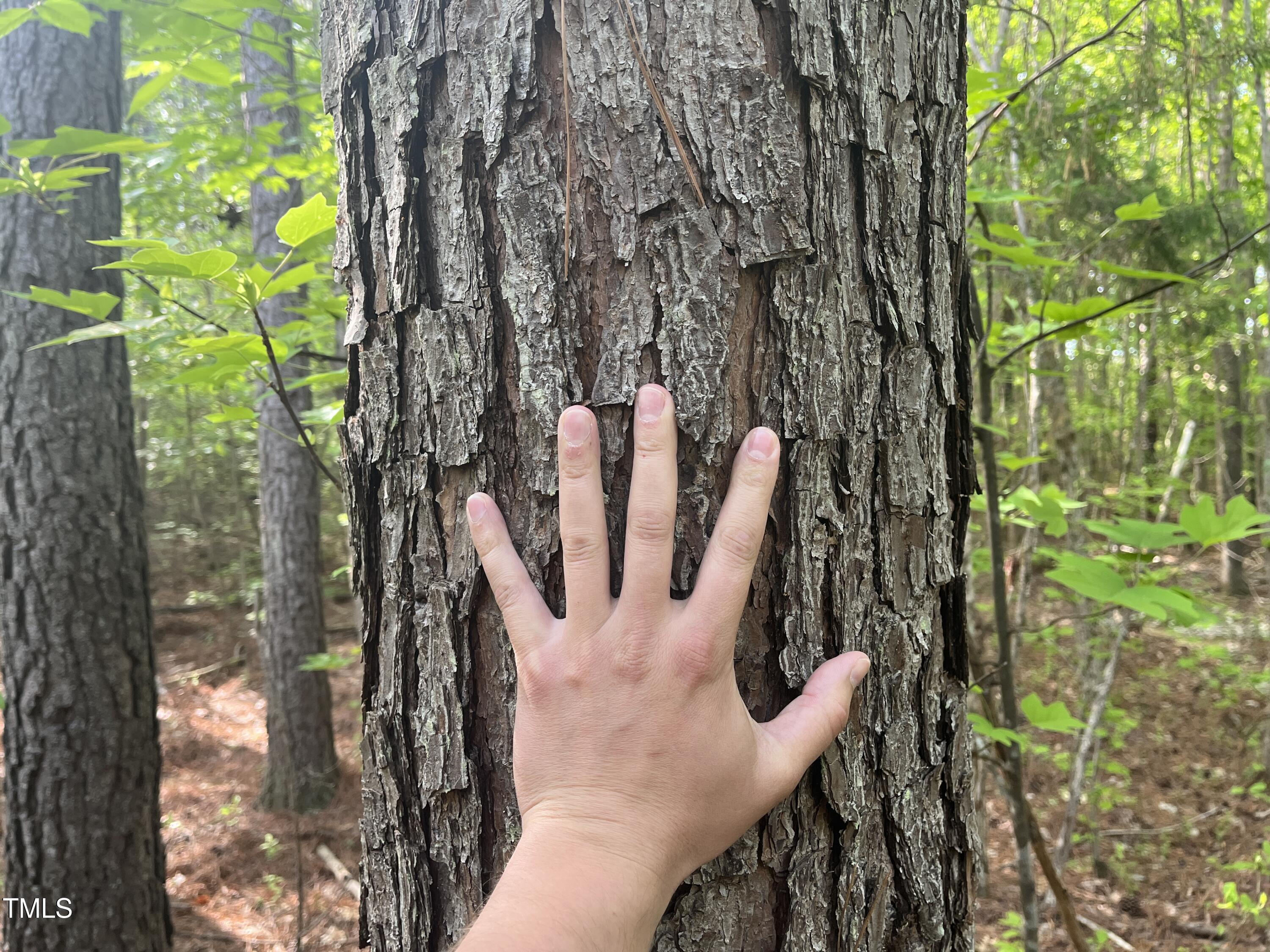 682 Wolf Pit Road Oxford, NC 27565 - Photo 19 of 21 IMG_7465