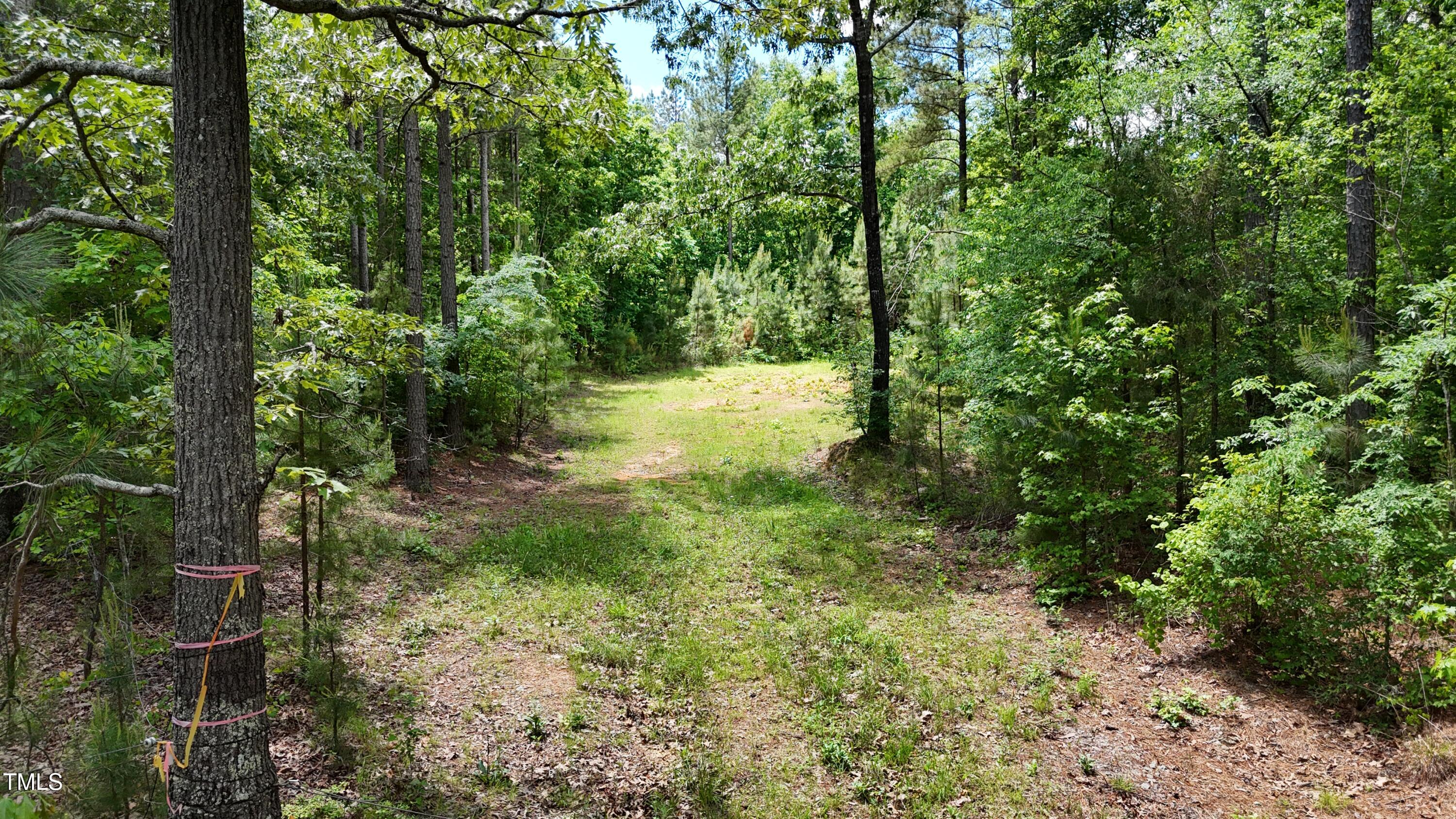 682 Wolf Pit Road Oxford, NC 27565 - Photo 6 of 21 a4