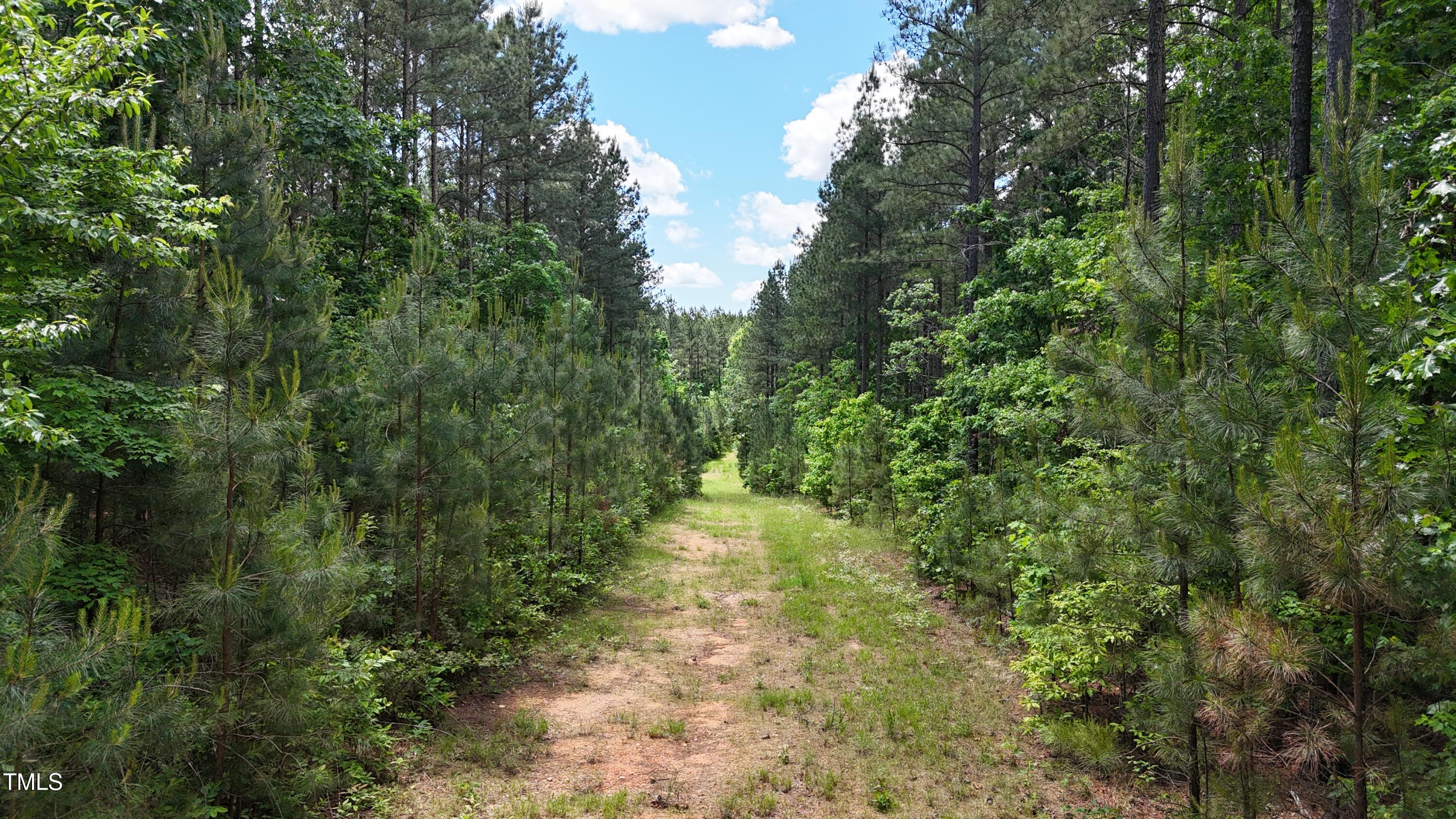 682 Wolf Pit Road Oxford, NC 27565 - Photo 8 of 21 a6