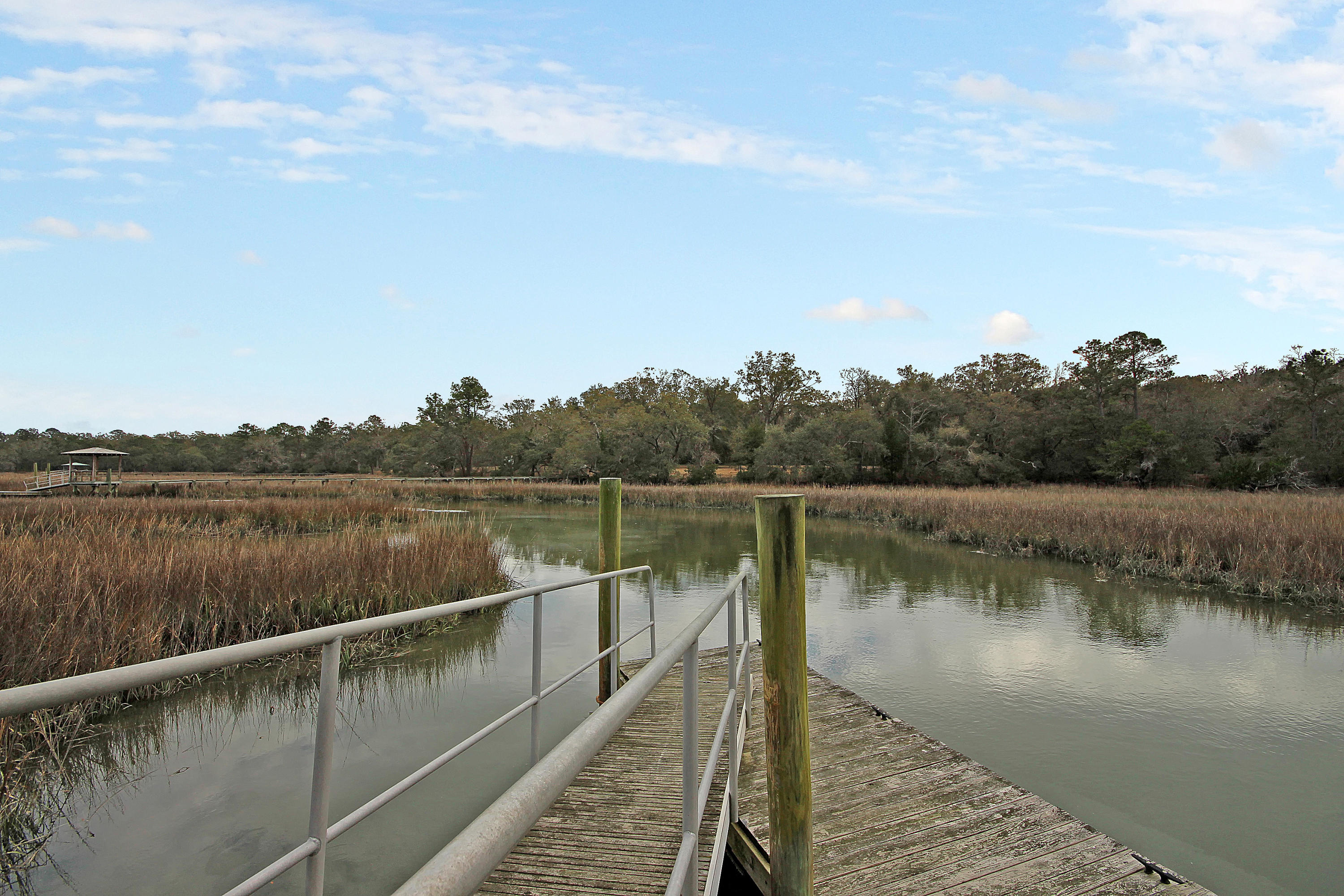 6556 Southmount Road Wadmalaw Island, SC 29487 - Photo 3 of 55 13 copy