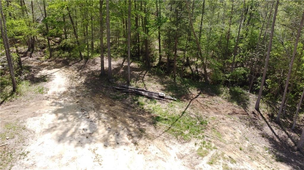 Amelia Springs Road Jetersville, VA 23083 - Photo 7 of 16 Gallery Image 7