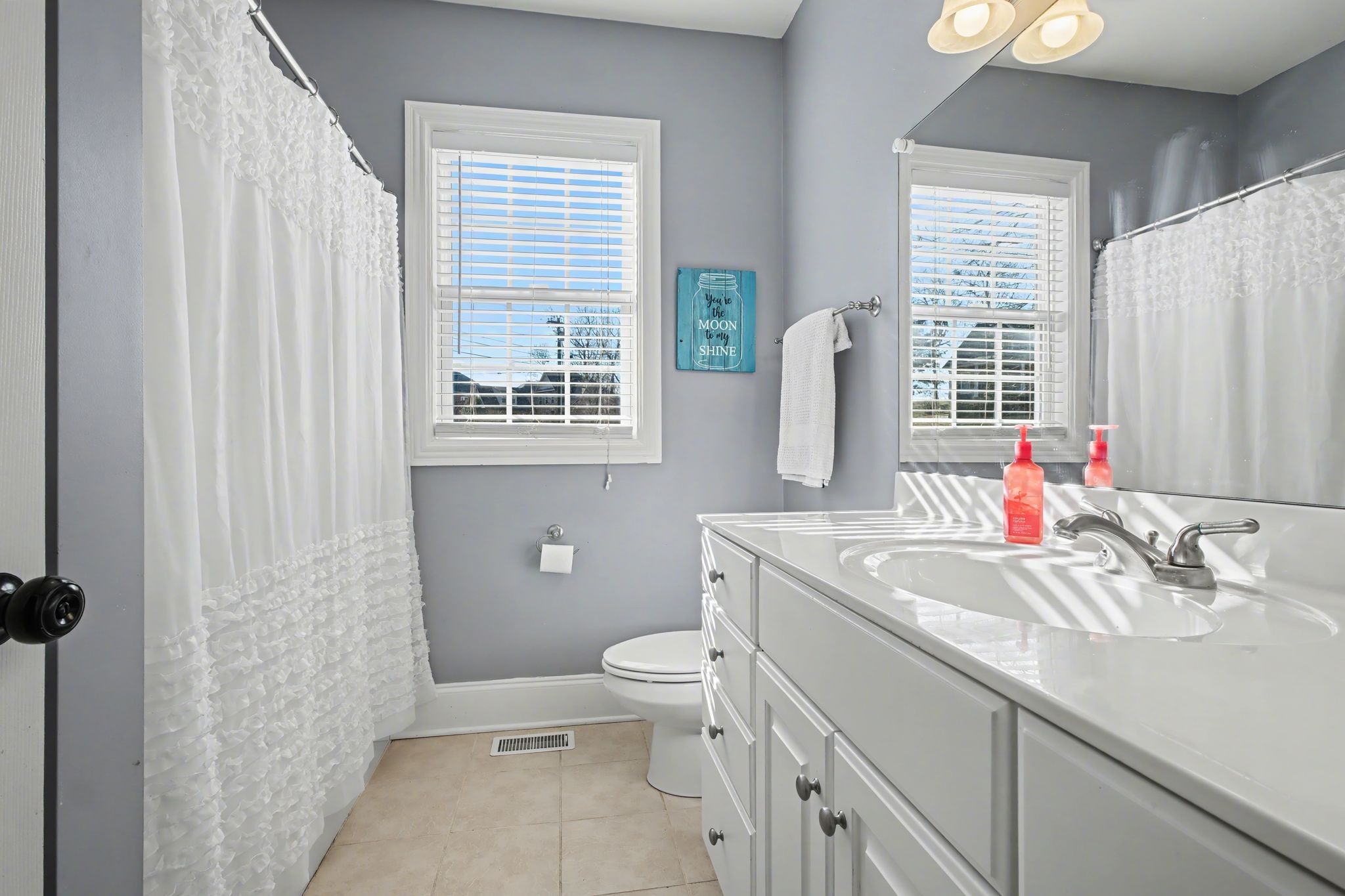 701 Deer Ridge Lane Lebanon, TN 37087 - Photo 26 of 41 a bathroom with a sink a toilet and a window