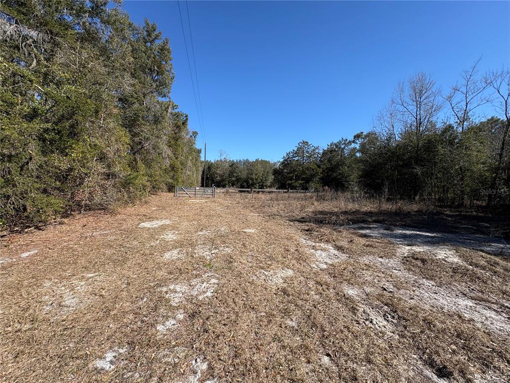 11727 Southwest 122nd Street Gainesville, FL 32608 - Photo 22 of 24