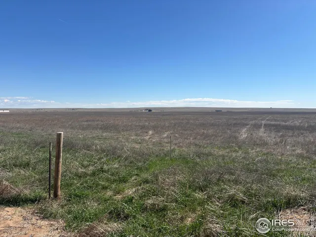 a view of a city with tall trees