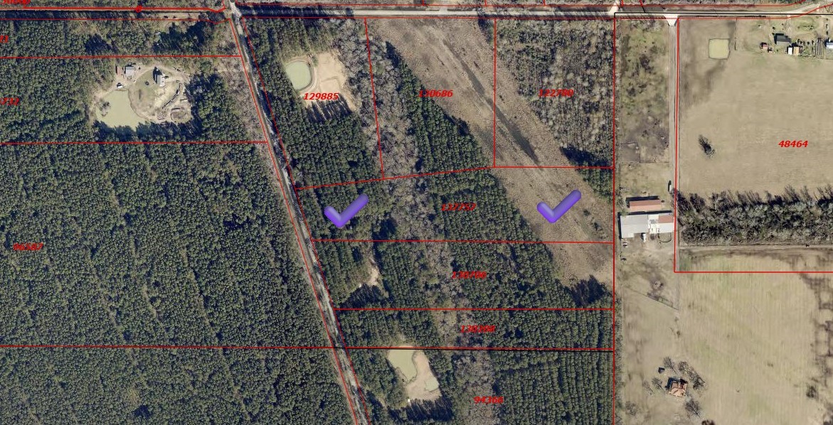 401 Pelican Road Shepherd, TX 77371 - Photo 6 of 6