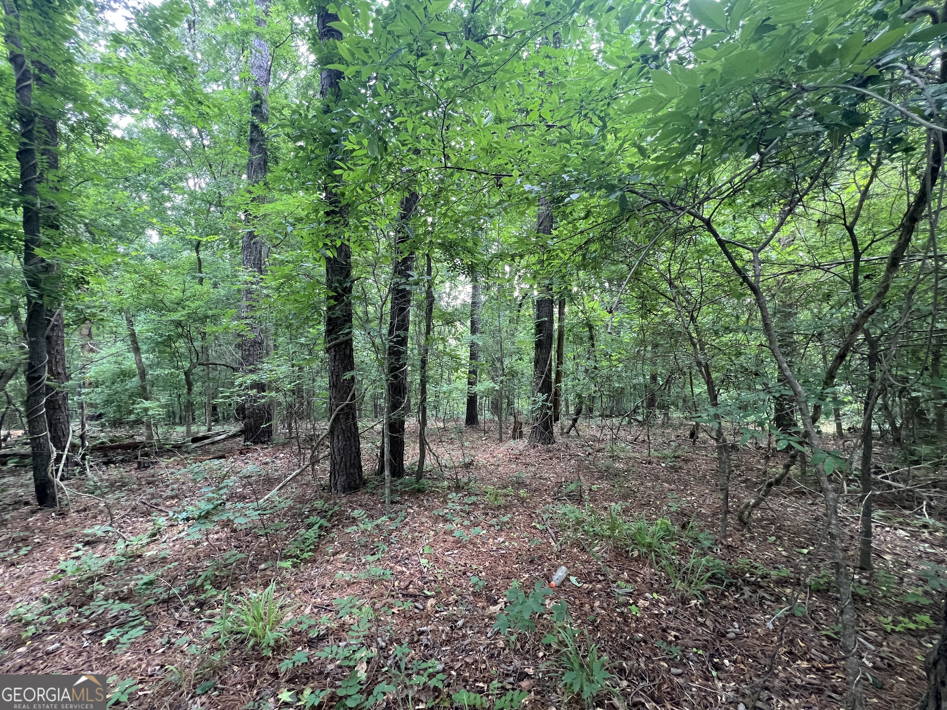 540 Allgood Road Irwinton, GA 31042 - Photo 22 of 22
