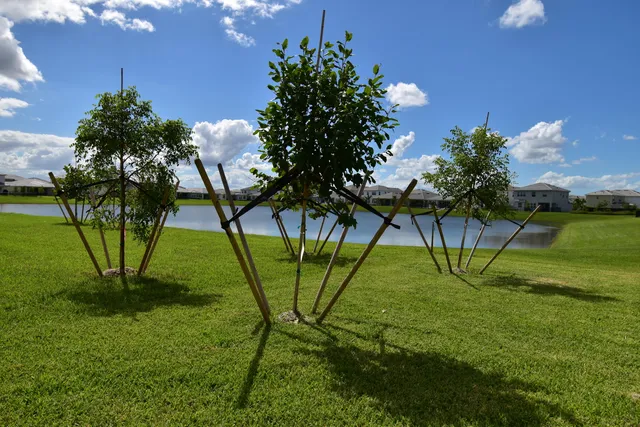 a view of an outdoor space and yard