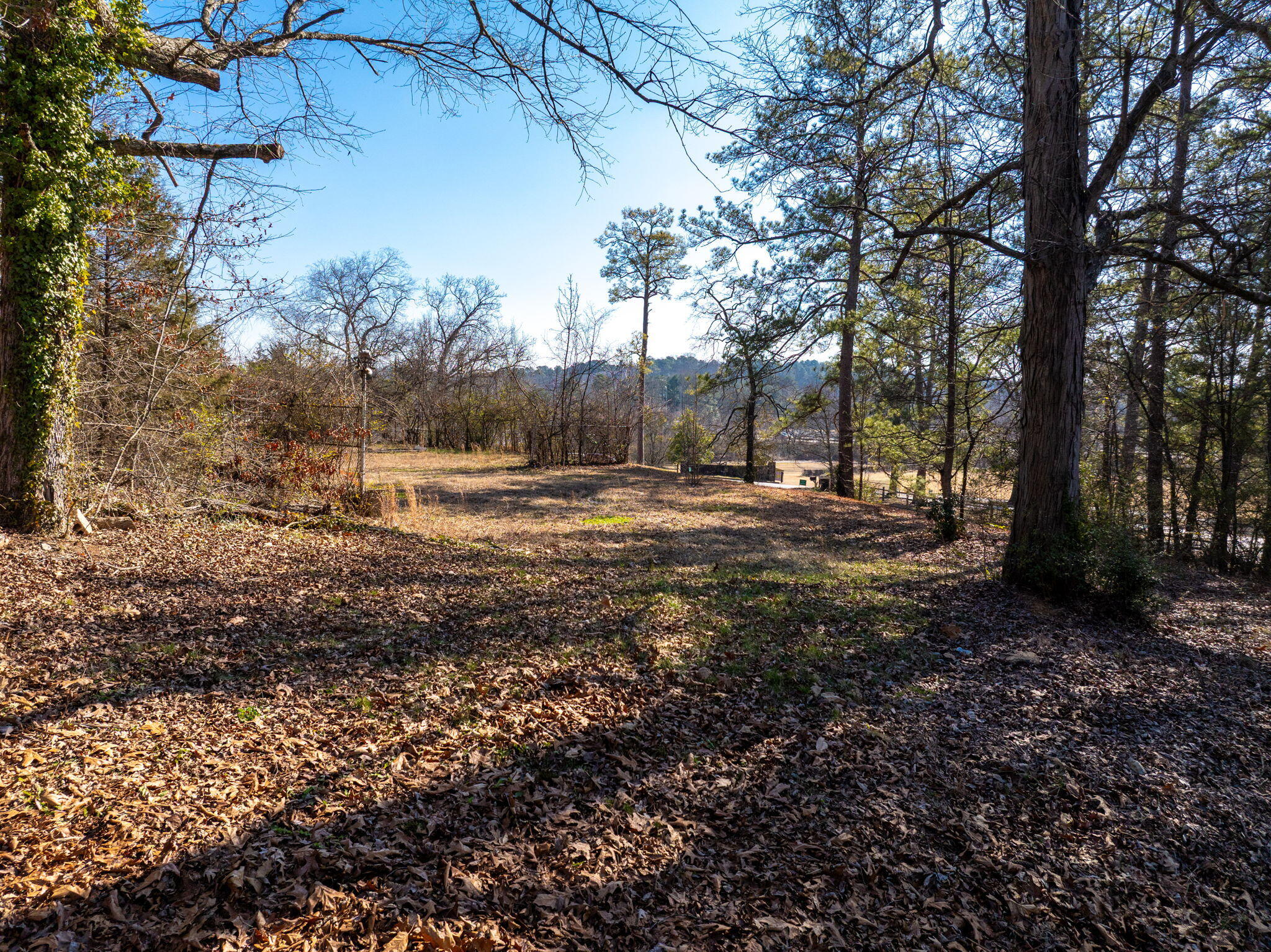 505 Brown Road Chattanooga, TN 37421 - Photo 17 of 25 20-web-or-mls-DJI_20260128121240_0780_D-