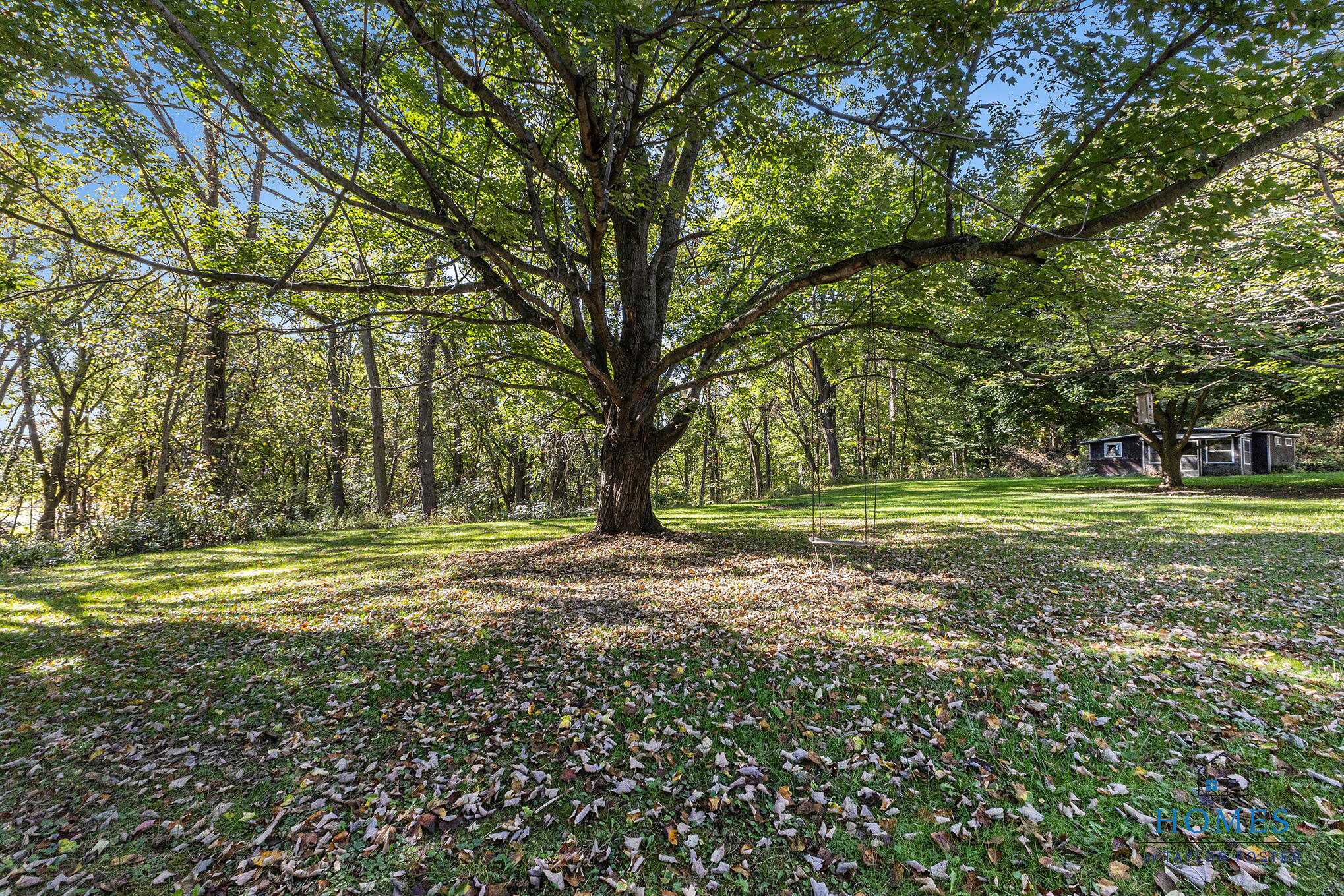 3845 Wood School Road Hastings, MI 49058 - Photo 26 of 29 Yard