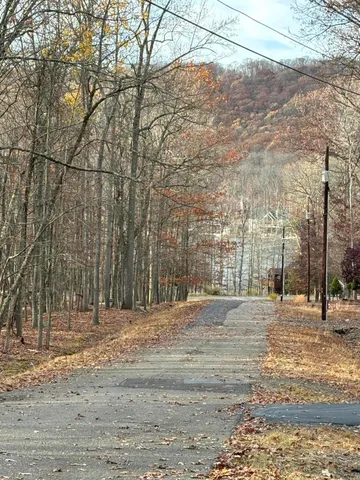 a view of a yard and a fountain with green space