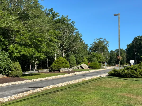 a view of a yard with plants and trees
