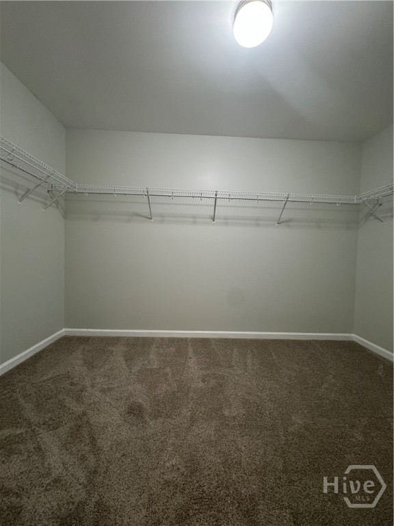 20 Wild Wood Court Rincon, GA 31326 - Photo 11 of 20 Owner's Closet