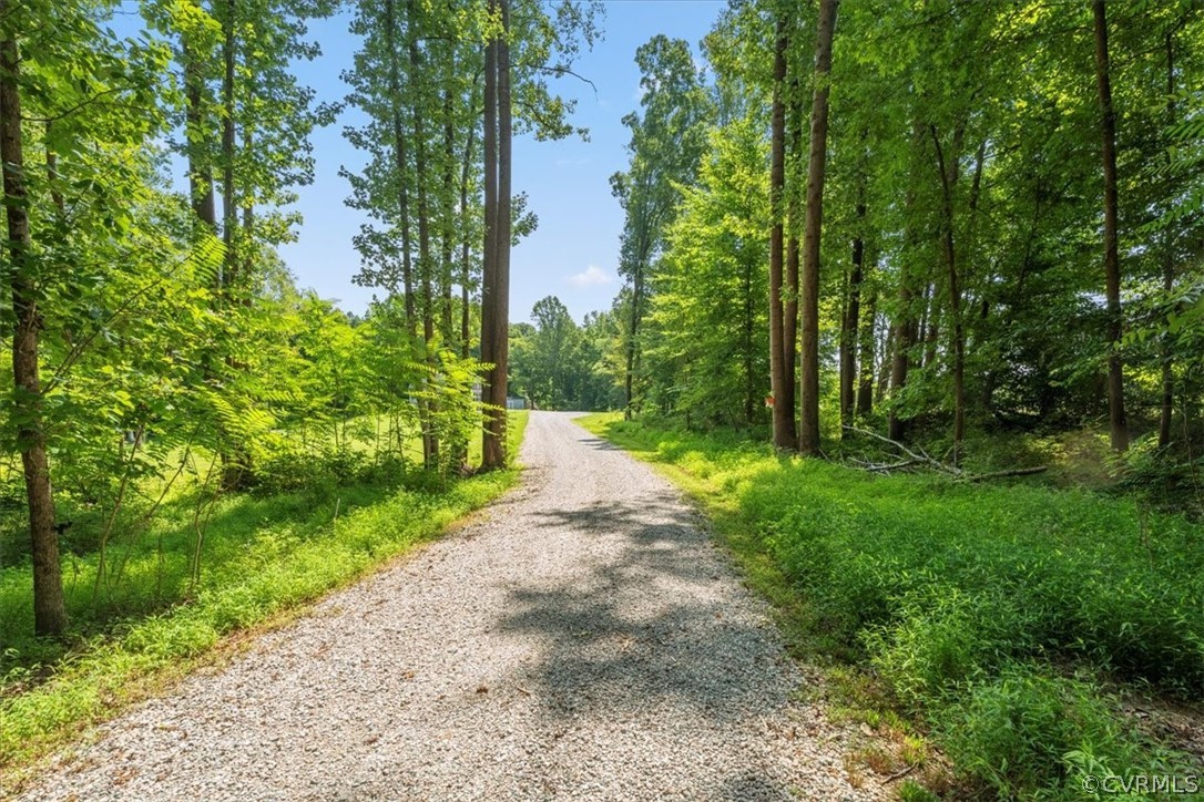 1820 Ballsville Road Powhatan, VA 23139 - Photo 28 of 46 a view of a yard with plants and large trees