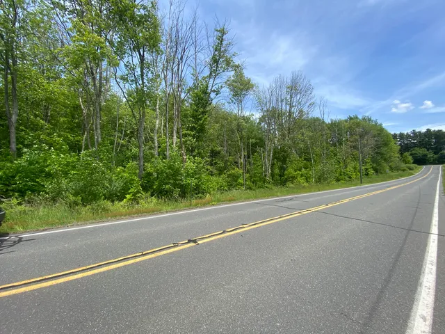 a view of a green field with potted plants
